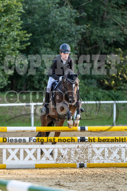RFV Dinslaken-Hiesfeld (Herbstturnier)