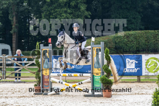 Goldene Schärpe 2021 - Ponys