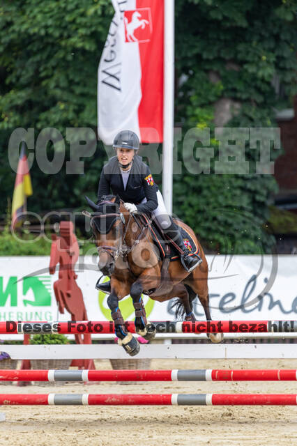 Goldene Schärpe 2021 - Ponys