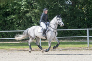 Eventing im Pferdesportzentrum Rheinland