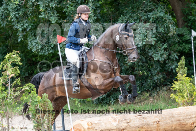 Late-Entry-Vielseitigkeit Langenfeld (06.+07.07.2020)