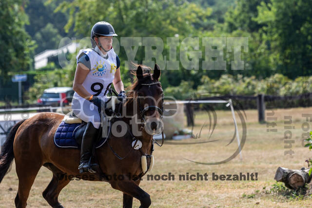 Late-Entry Vielseitigkeit Hamminkeln/Wesel (01.+02.08.2020)