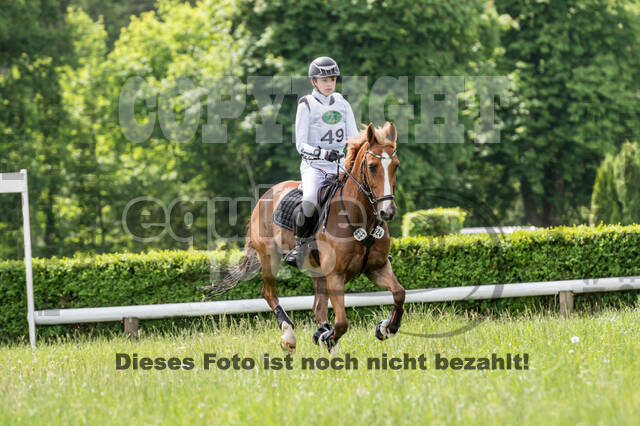 Westerstede Horse Trials 2021