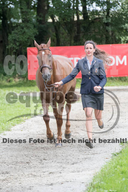 FEI European Championship Eventing 2017