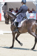 FEI European Championship