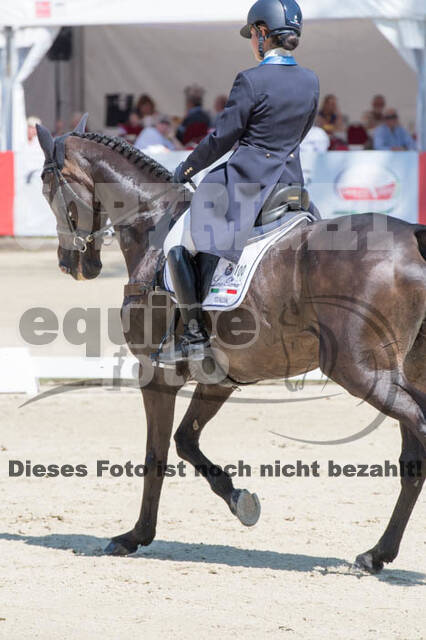 FEI European Championship
