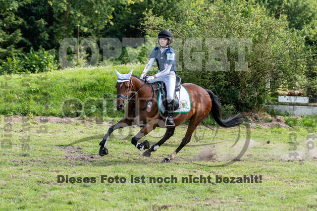 Goldene Schärpe 2021 - Ponys