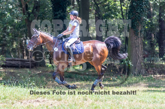 Late-Entry Vielseitigkeit Hamminkeln/Wesel (01.+02.08.2020)