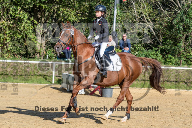 RFV Dinslaken-Hiesfeld (Herbstturnier)