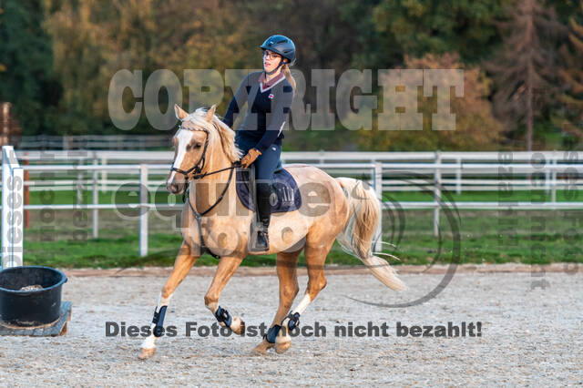 IGV Lehrgang der Sieger der Cups mit Frank Ostholt