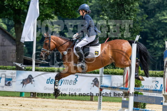 Goldene Schärpe 2021 - Ponys
