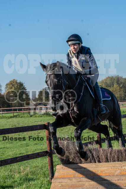 Vielseitigkeitslehrgang mit Jürg Kurbel (9.+10.11.2019)