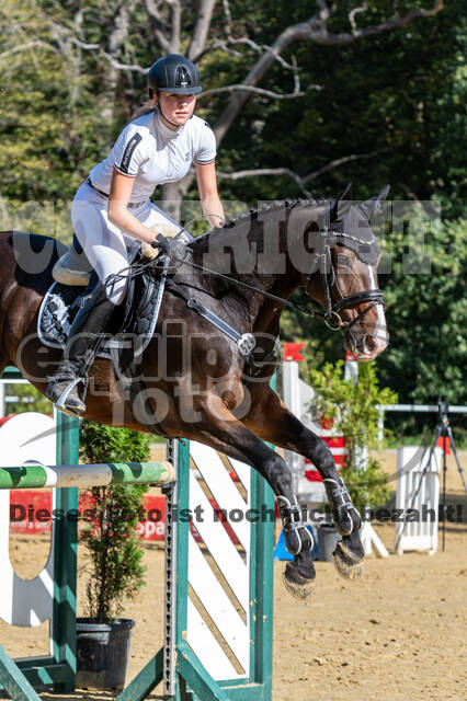 RFV Dinslaken-Hiesfeld (Herbstturnier)