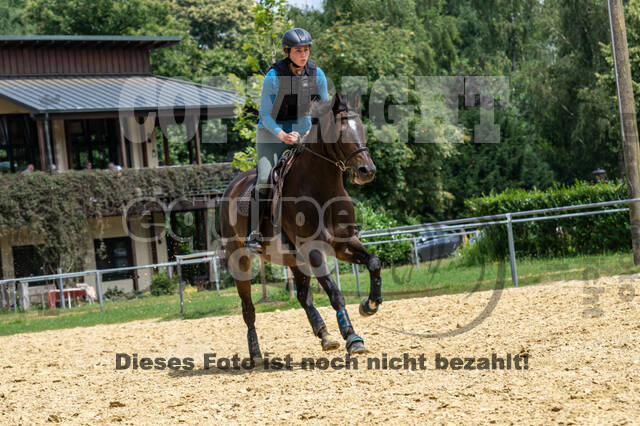 Hunter Geländetraining 10.07.2021 (Sonsbeck)