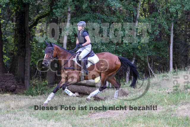 Late-Entry Vielseitigkeit Hamminkeln/Wesel (01.+02.08.2020)