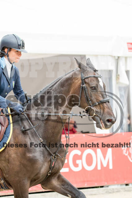 FEI European Championship