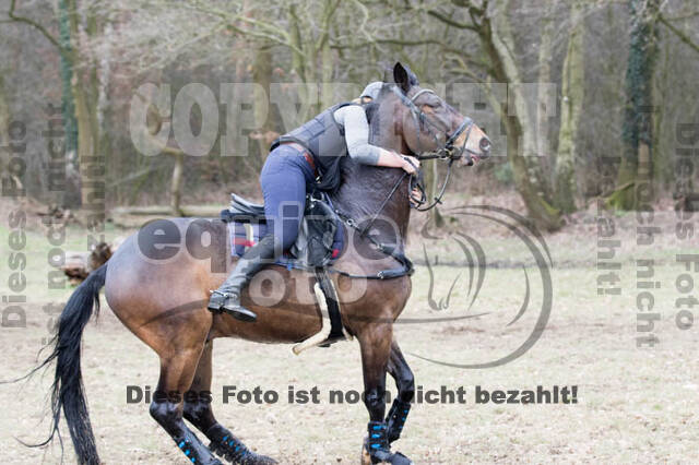 Geländetrainings RSV St. Hubertus Wesel Obrighoven