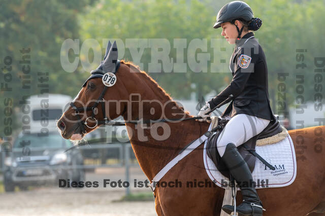 Goldene Schärpe 2020 - Pferde