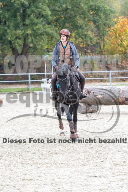 Training Tholi Tour