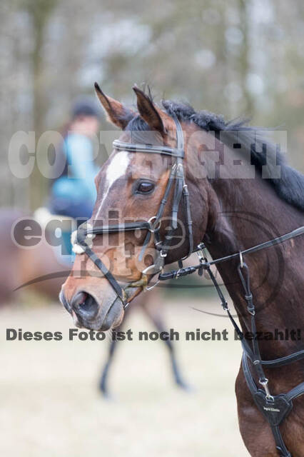 Geländetraining RSV St. Hubertus Wesel Obrighoven