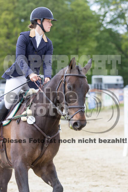 Sterne über Münster 2019 - CCI***S