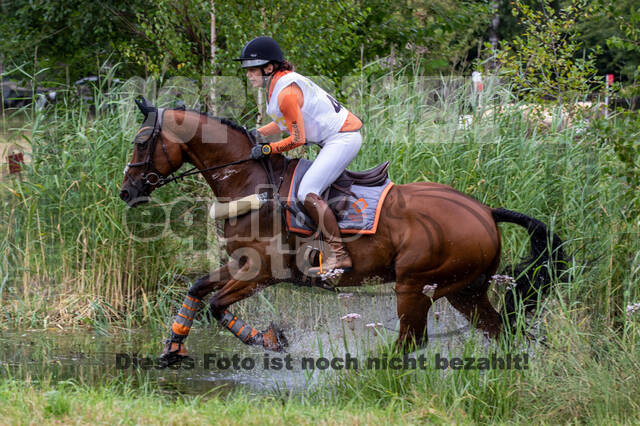 Late-Entry Vielseitigkeit Hamminkeln/Wesel (01.+02.08.2020)