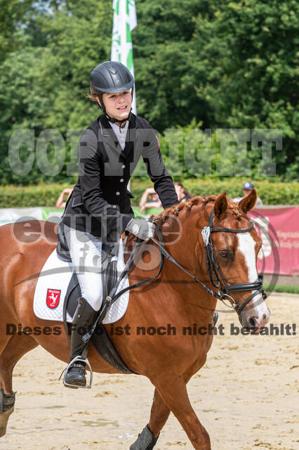 Goldene Schärpe 2021 - Ponys