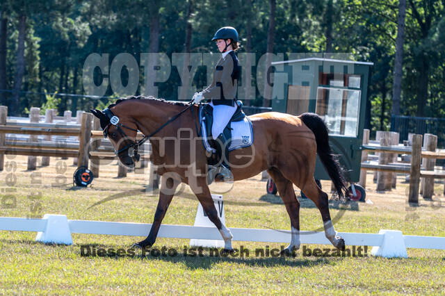 Kronenberg - De Peelbergen (August 2020)