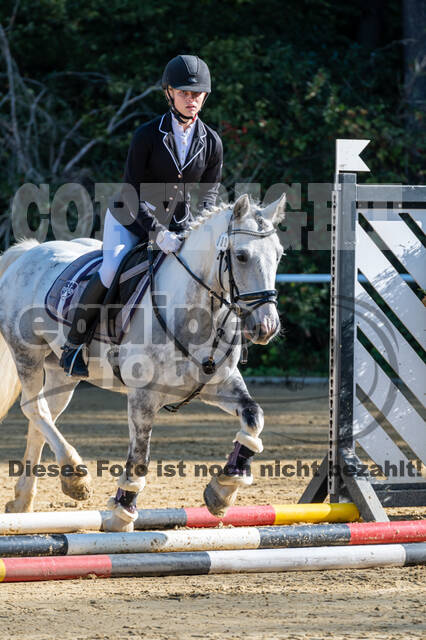 RFV Dinslaken-Hiesfeld (Herbstturnier)