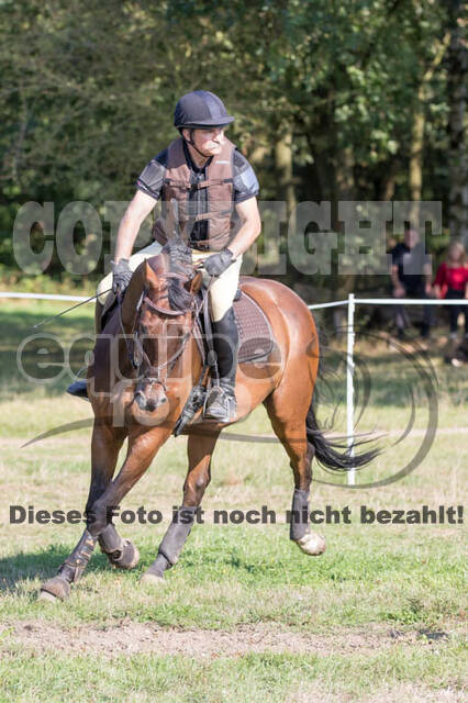 Vielseitigkeitsturnier RSV St. Hubertus Wesel Obrighoven
