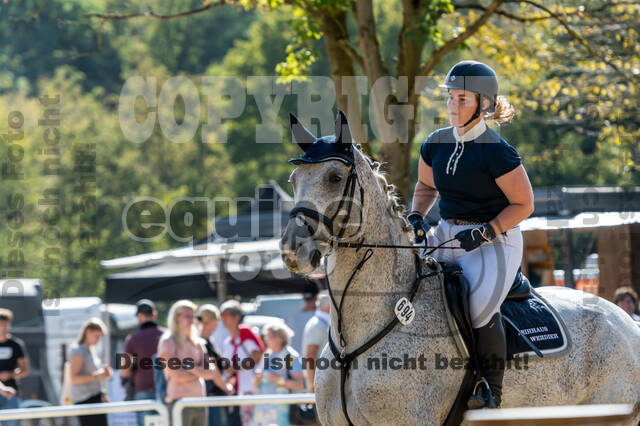 RFV Dinslaken-Hiesfeld (Herbstturnier)