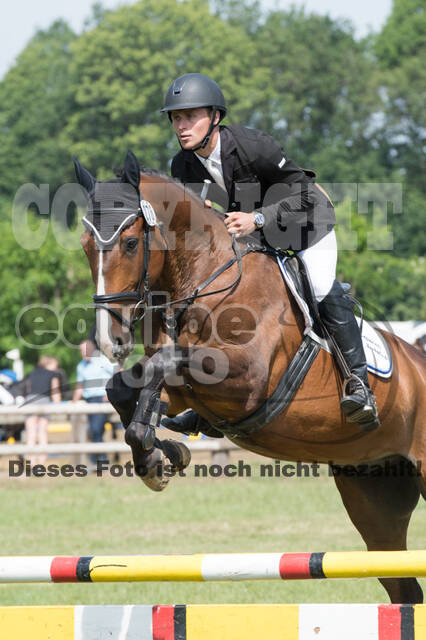 Vielseitigkeitsturnier ZRuFV von Lützow Hamminkeln