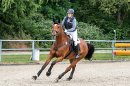 Late-Entry-Vielseitigkeit Langenfeld (11.+13./14.06.2020)