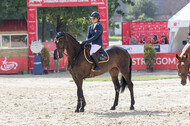 FEI European Championship