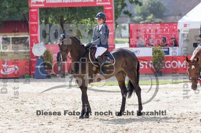 FEI European Championship