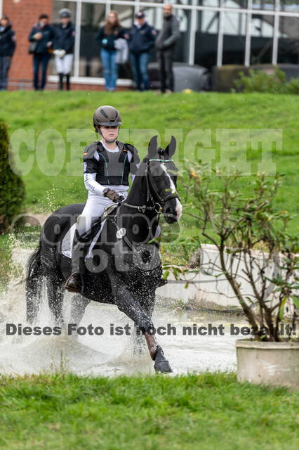 Goldene Schärpe 2020 - Pferde