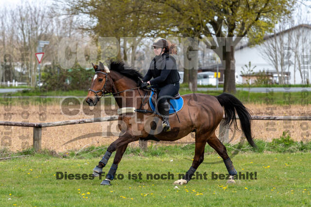 Geländetraining ZRFV Hamminkeln (24+25.04.2021)