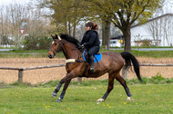 Geländetraining ZRFV Hamminkeln (24+25.04.2021)
