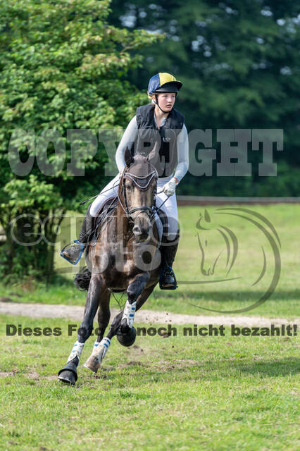 Goldene Schärpe 2021 - Ponys