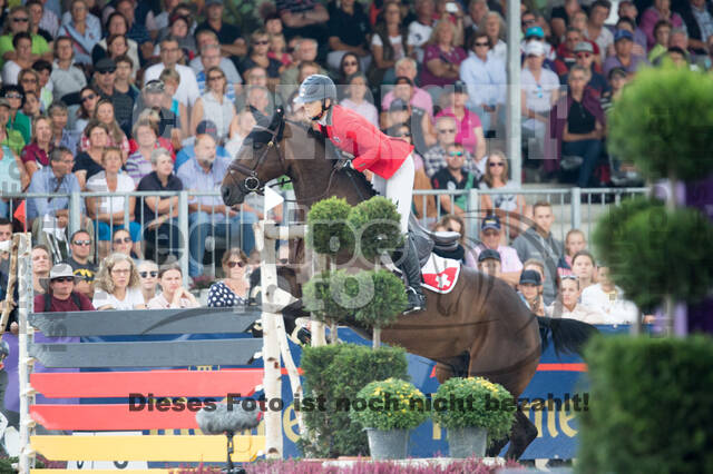 FEI European Championship Eventing 2019