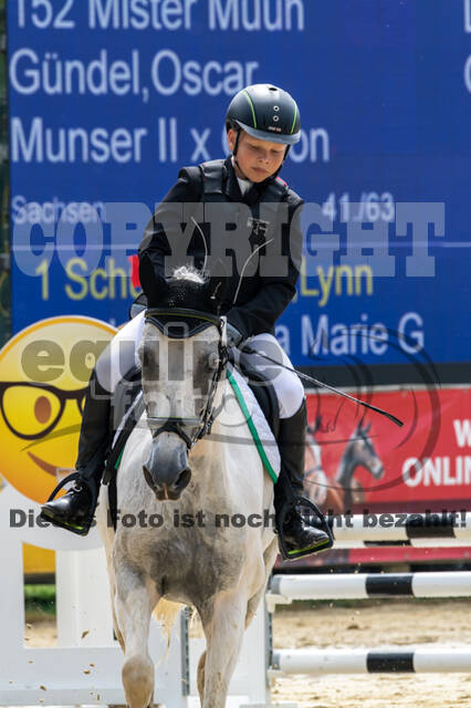 Goldene Schärpe 2021 - Ponys