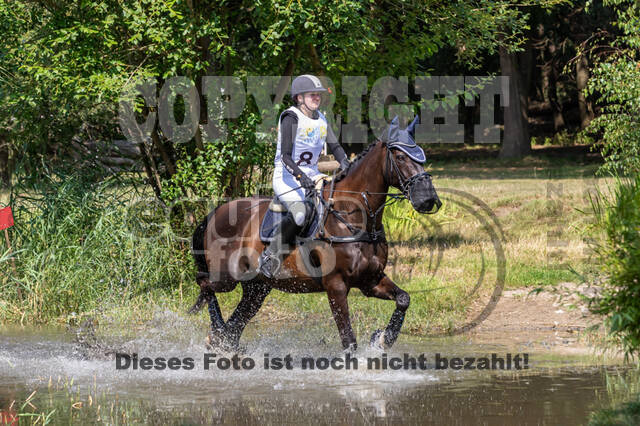 Late-Entry Vielseitigkeit Hamminkeln/Wesel (01.+02.08.2020)