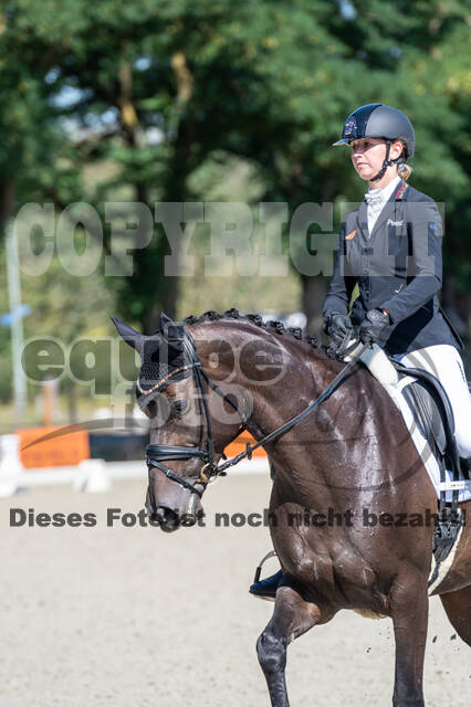 Kronenberg - De Peelbergen (August 2020)