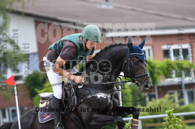 Late-Entry-Vielseitigkeit Langenfeld (11.+13./14.06.2020)