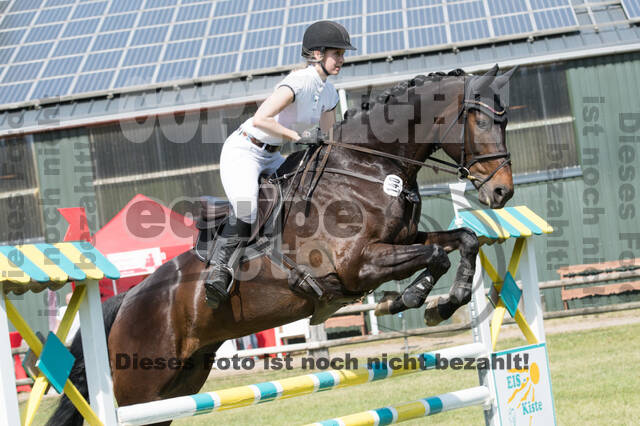 Vielseitigkeitsturnier ZRuFV von Lützow Hamminkeln