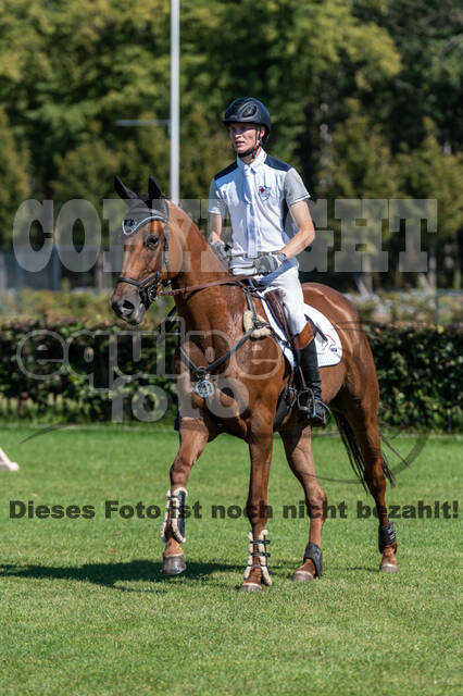 Kronenberg - De Peelbergen (August 2020)