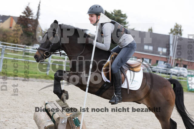 IGV Lehrgang der Sieger der Cups mit Frank Ostholt