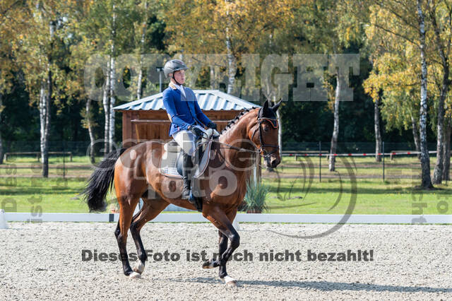Deutsche Meisterschaft Vielseitigkeit (Luhmühlen)