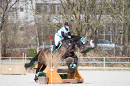 Eventing Langenfeld 2018