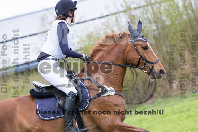Vielseitigkeitsturnier RV Lippe-Bruch-Gahlen